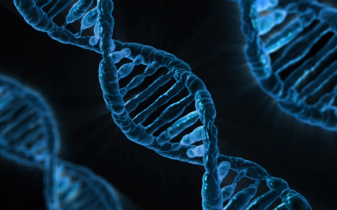 Expat insights: do you have the ‘wanderlust gene’?