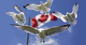 About-Canada's-express-entry-changes-for-immigration