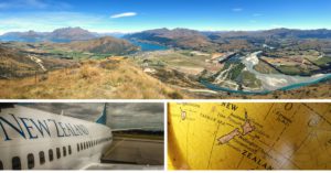 New-Zealand-beats-Australia-in-immigration-queries