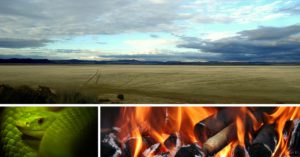 7-things-that-shock-expats-about-Australia