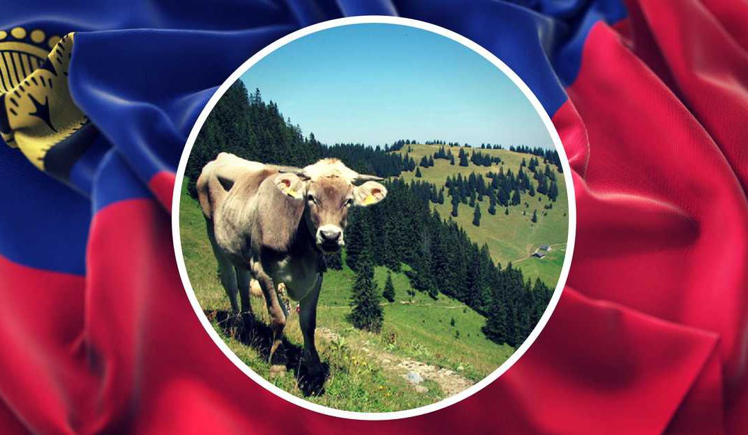 Why expats love to live in Liechtenstein