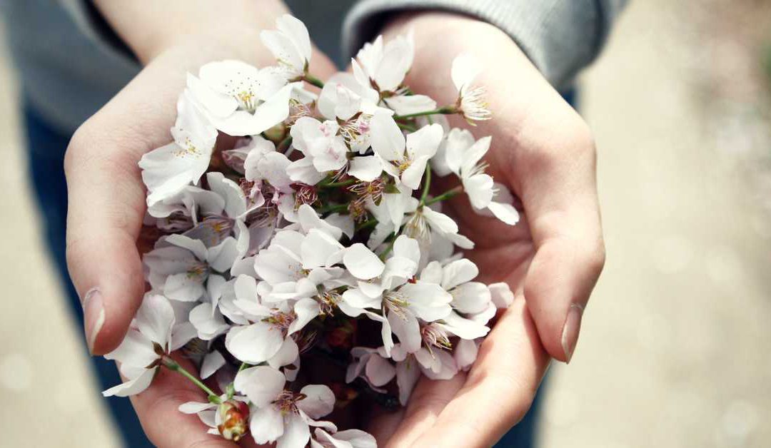 7 ways to celebrate spring abroad