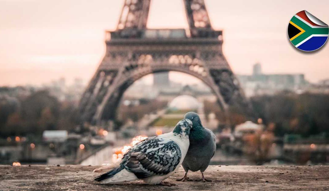 Moving to France: Should you rent or buy property?