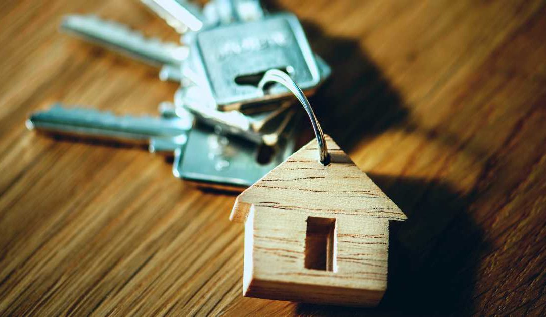 Estate planning considerations for South African expats