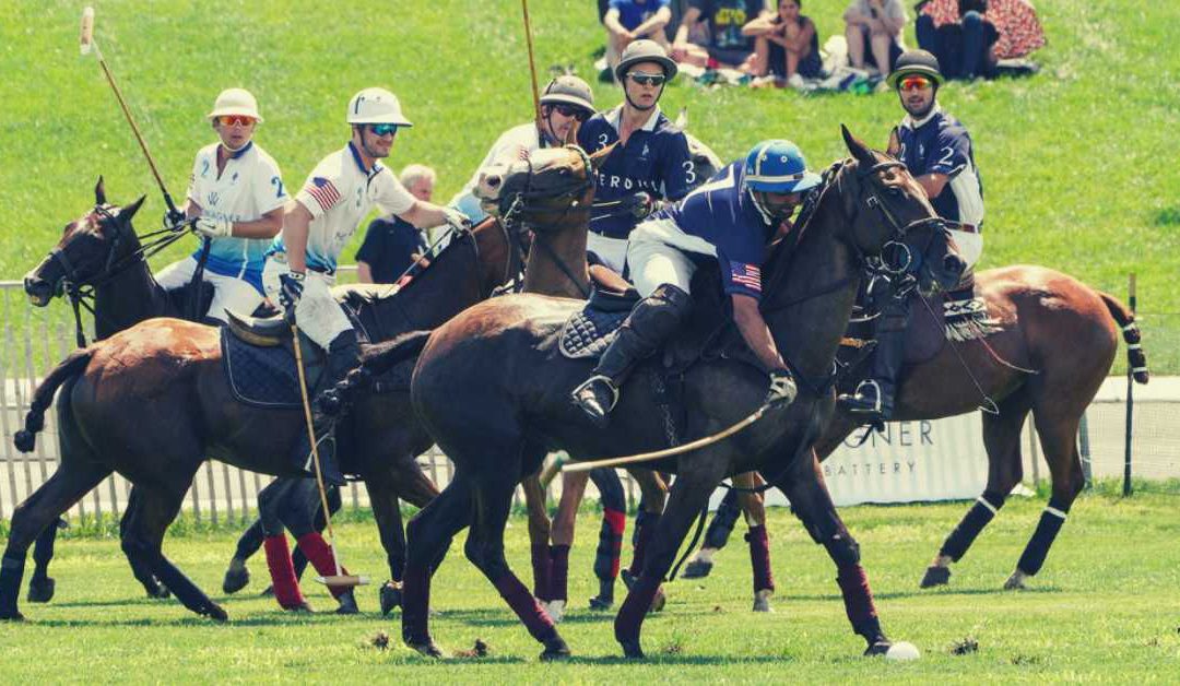 Polo in the city
