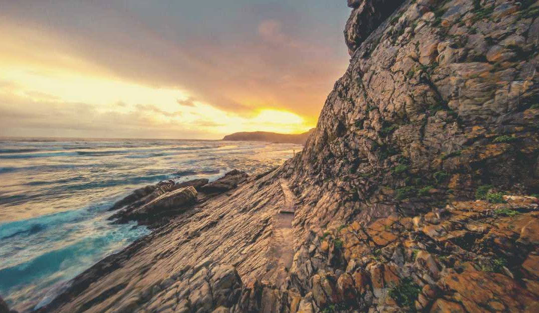 5 things not to miss at Plettenberg Bay