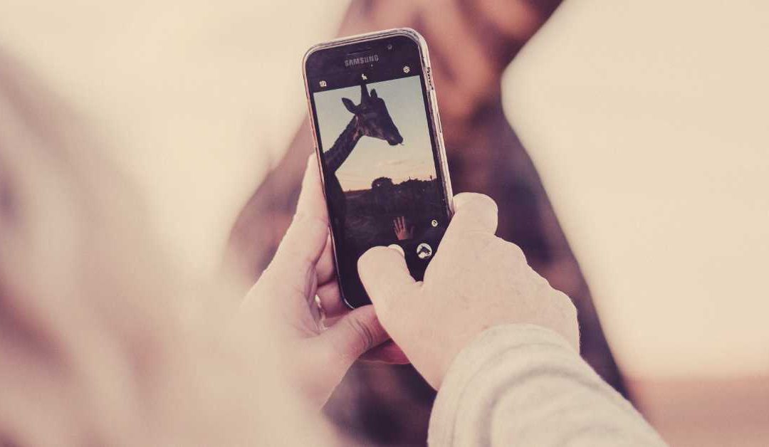 Instagram influencers: This is what South African Professionals do