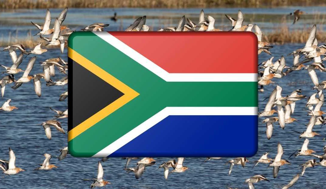 Financial emigration: What it involves