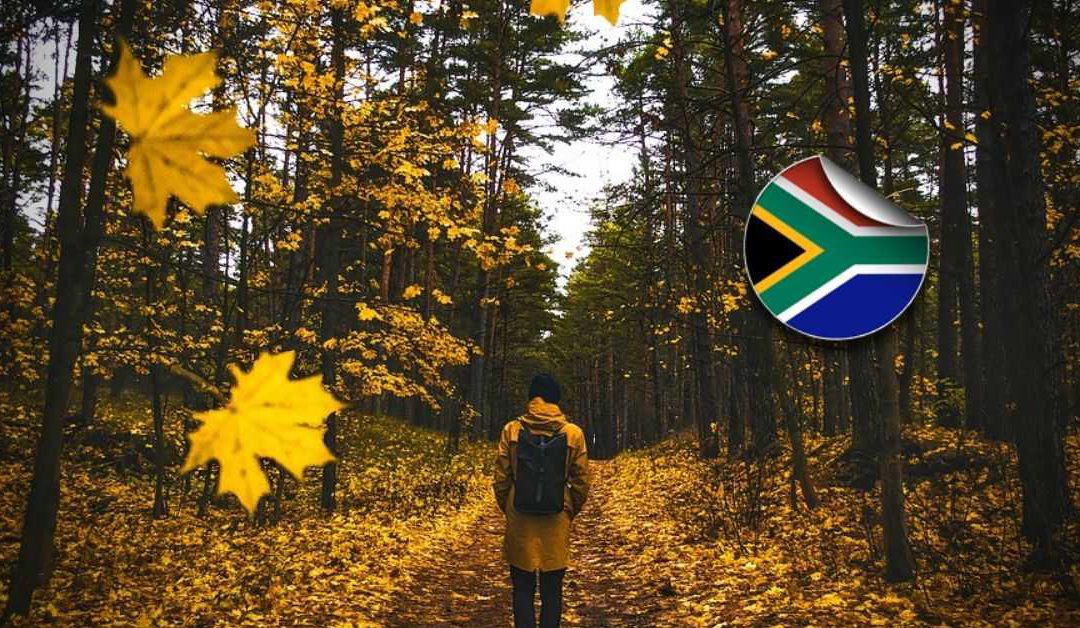 What to Do About Your South African Inheritances When You’re Living Overseas