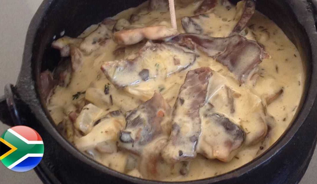 Biltong Potjie