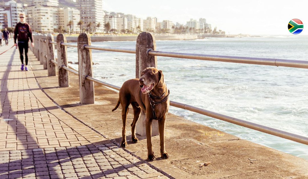 Sea Point Promenade Cape Town