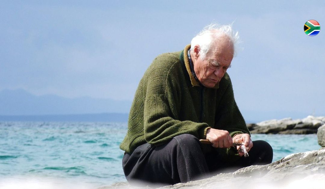 The latest news on South African pension funds in 2022