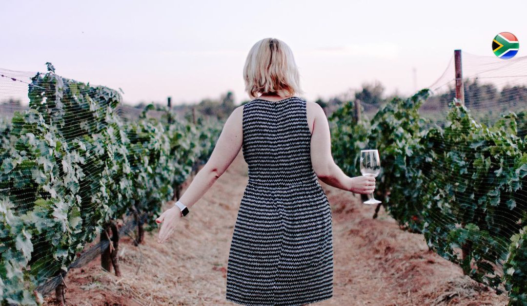 Oldest wine farms in South Africa