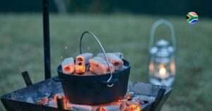 malva-pudding-in-a-pot
