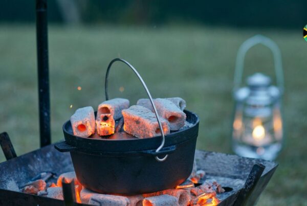 malva-pudding-in-a-pot