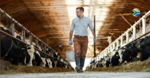 farm-work-in-America-h2a-visa