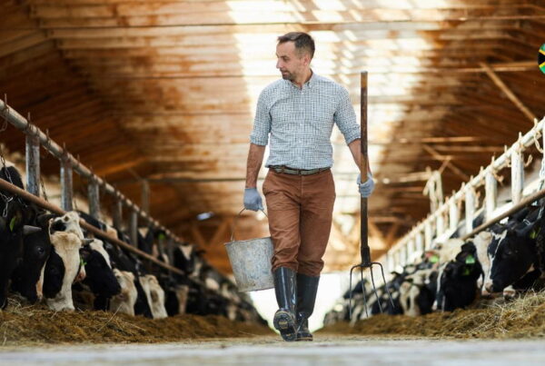 farm-work-in-America-h2a-visa